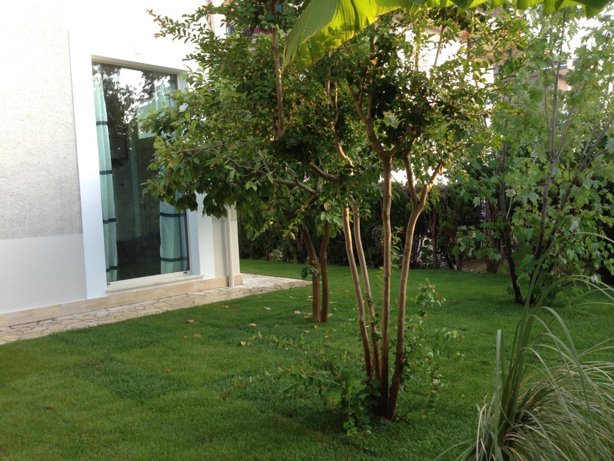 Loft 3, A 150 M Dal Mare, Pineto Centro Apartment Exterior foto